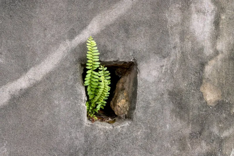 Patching Small Wall Holes
