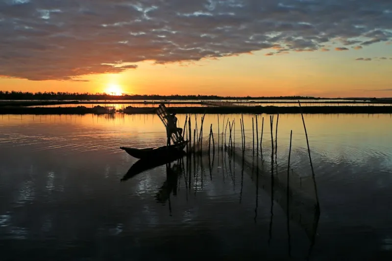 End-of-Day Play Session
