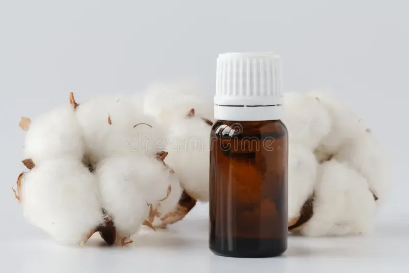 Essential Oil on Cotton Balls